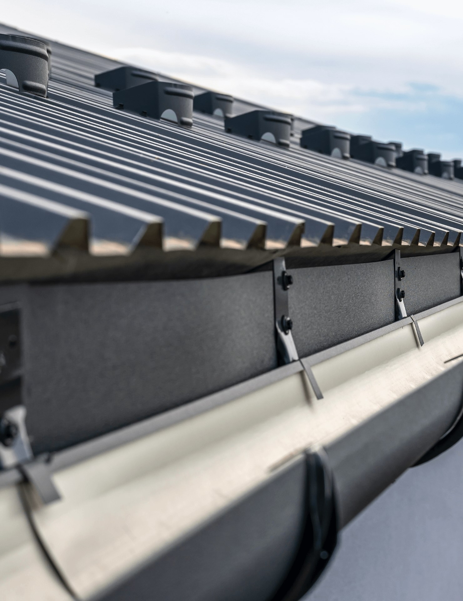 Gutter cleaning (1)