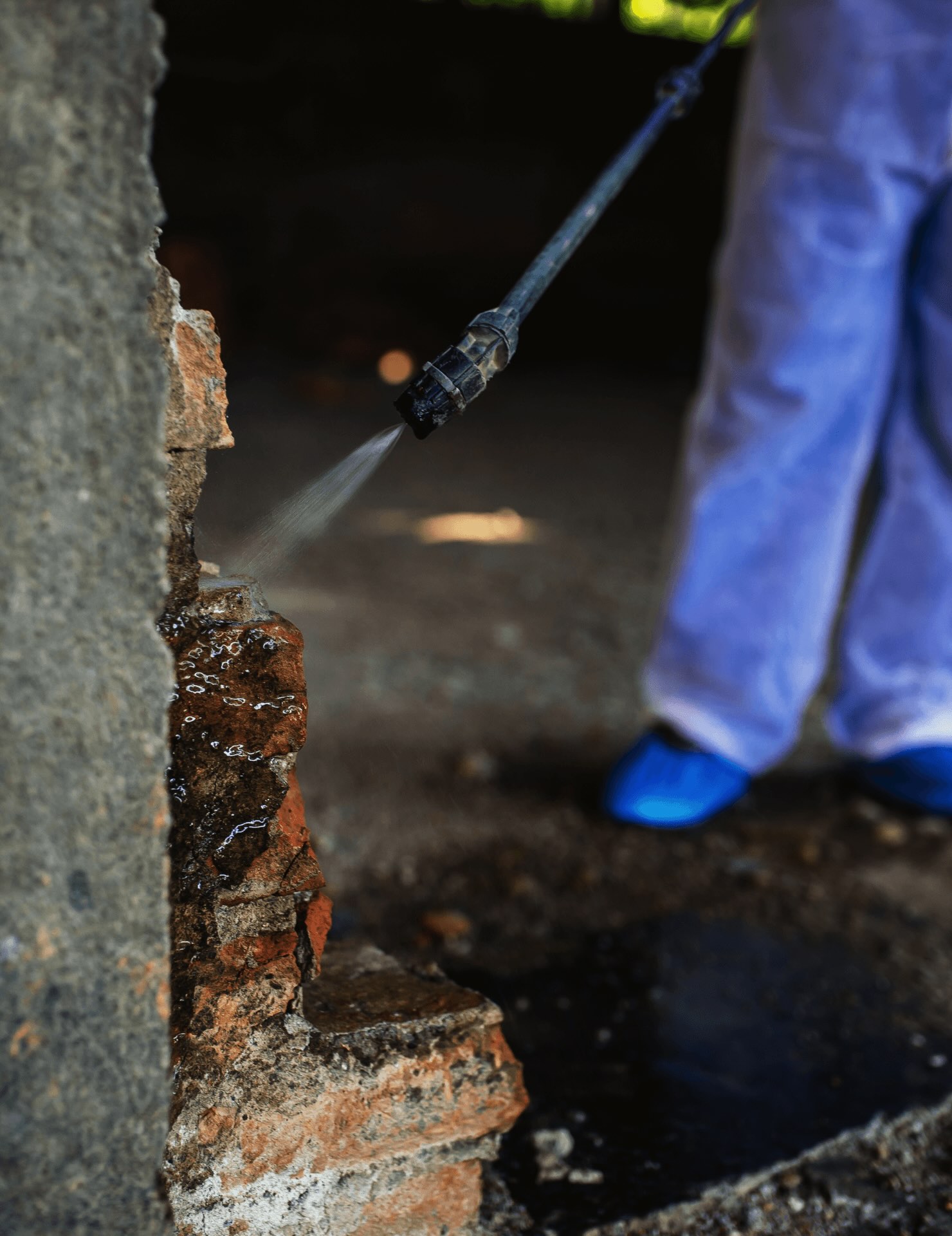 bug extermination (1)